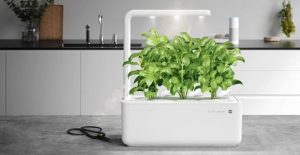 emsa click grow smart garden